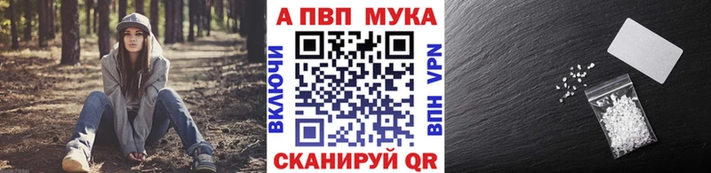omg tor  Суджа  Alfa_PVP крисы CK 