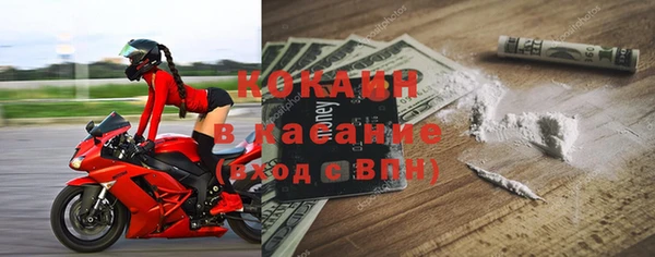 apvp Алексин