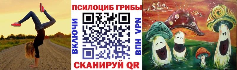 Псилоцибиновые грибы ЛСД  Суджа 