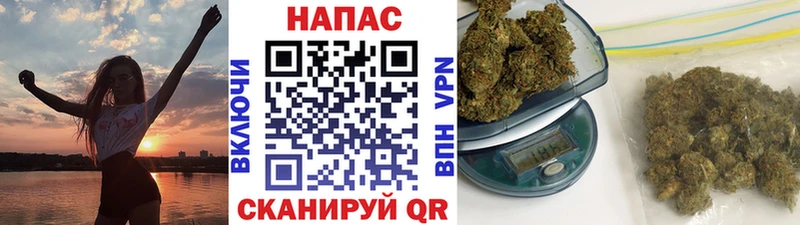 Конопля семена  Суджа 